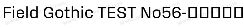 Field Gothic TEST No56字体转换